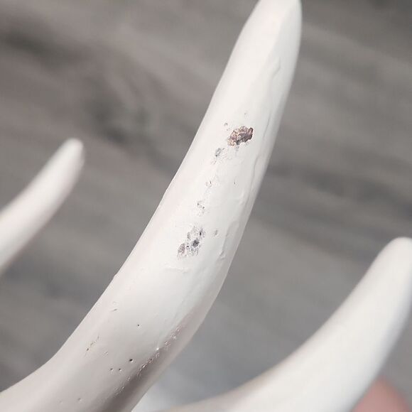 LG White 4 Candle Antler Centerpiece - Picture 7 of 8